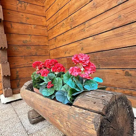 Familial Avec Jardin Prive, Proximite Telecabine, Piscine Et Lac, Animaux Acceptes - Fr-1-624-67 *